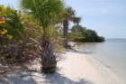 dsc00706_small.jpg