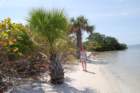 dsc00707_small.jpg