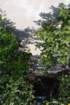 dsc00712_small.jpg