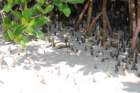 dsc00714_small.jpg