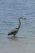 dsc00721_small.jpg