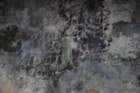 dsc00755_small.jpg