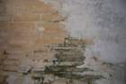dsc00769_small.jpg