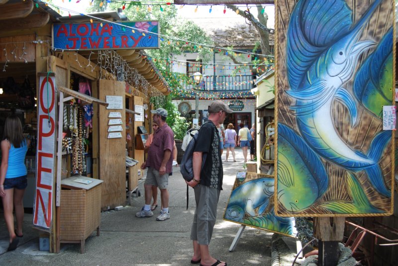 dsc00825.jpg
