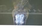 dsc02352_small.jpg