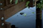 dsc02354_small.jpg