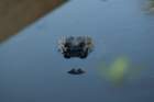 dsc02356_small.jpg