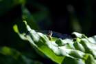 dsc02364_small.jpg
