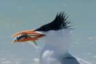 dsc02460_small.jpg