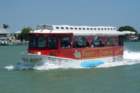 dsc02476_small.jpg