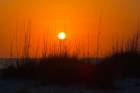 dsc02787_small.jpg