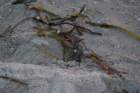 dsc02802_small.jpg