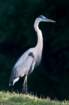 dsc03232_small.jpg