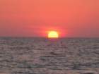 img00014_small.jpg