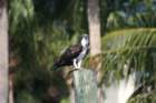 dsc03228_small.jpg