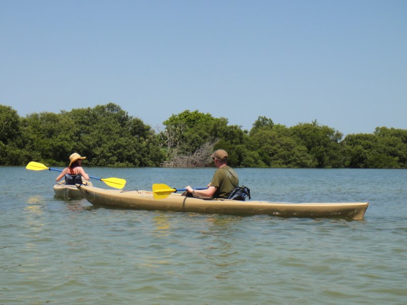 DSC_1002 dsc_1002.jpg