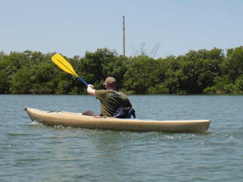 DSC_1010 dsc_1010.jpg