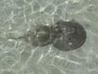 dsc_1019_small.jpg