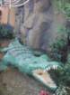 dsc01137_small.jpg