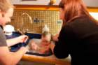 dsc07877_small.jpg