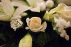 dsc00402_small.jpg