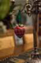 dsc00444_small.jpg