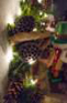 dsc00579_small.jpg