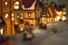 dsc00681_small.jpg