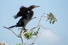dsc02877_small.jpg