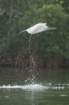 dsc029902_small.jpg