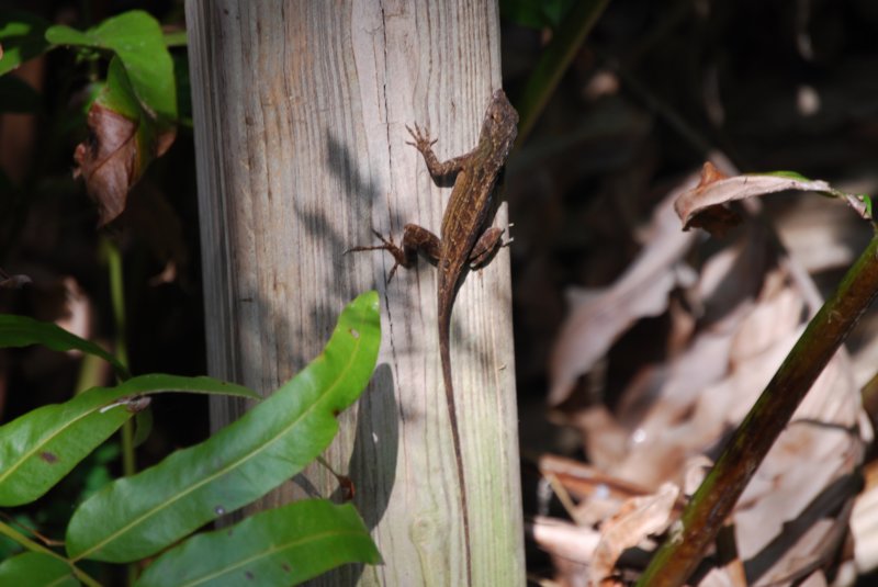 DSC_2776 dsc_2776.jpg