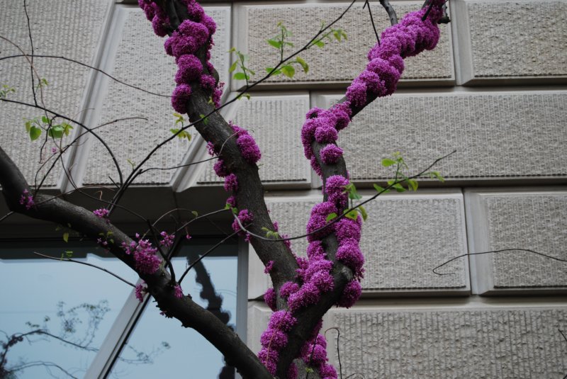 DSC_3394 dsc_3394.jpg