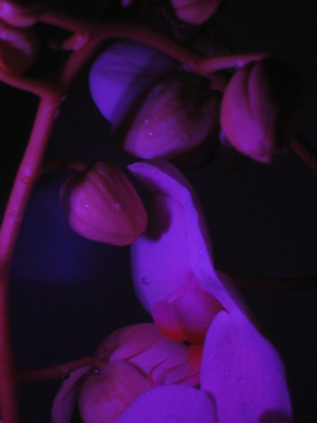 IMG_0048 img_0048.jpg