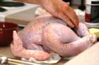 novthanksgivingatkristinas00017_small.jpg