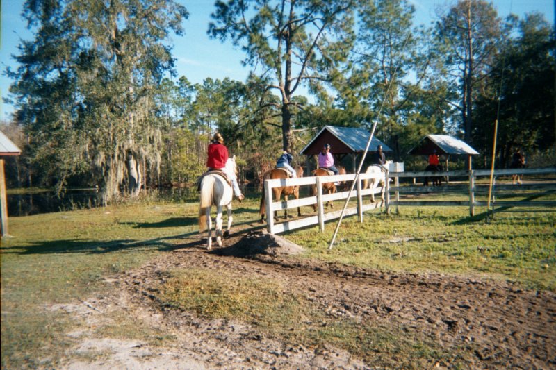 2002 Dec - Louise at Christmas in FL & VA 012 declouiseatchristmasinflva012.jpg