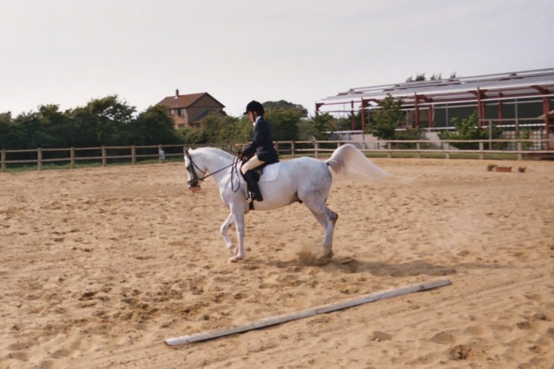 junlouisedressage00003.jpg