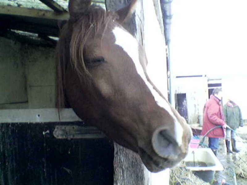Image003 image003.jpg