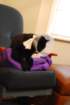 dsc_0095_small.jpg