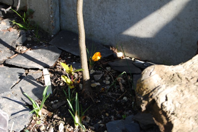 070 photo17.jpg