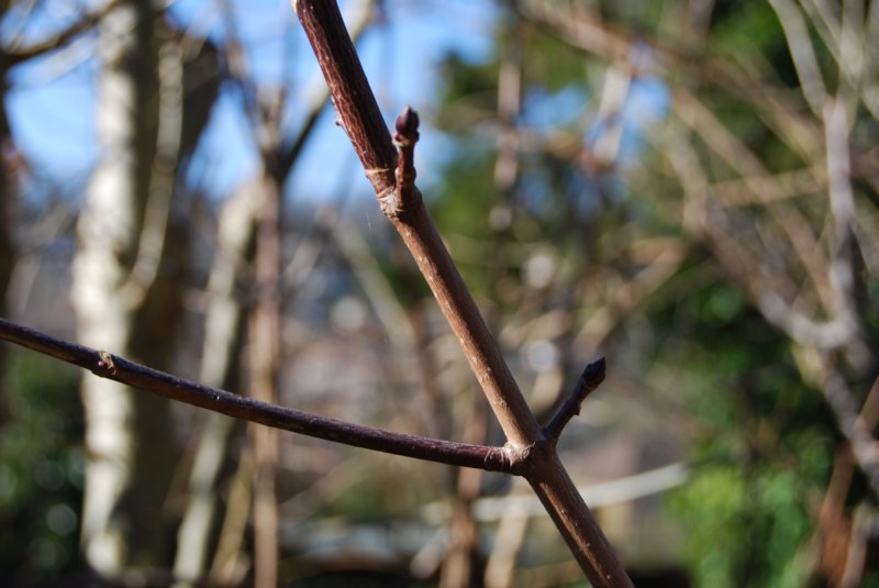 071 photo18.jpg