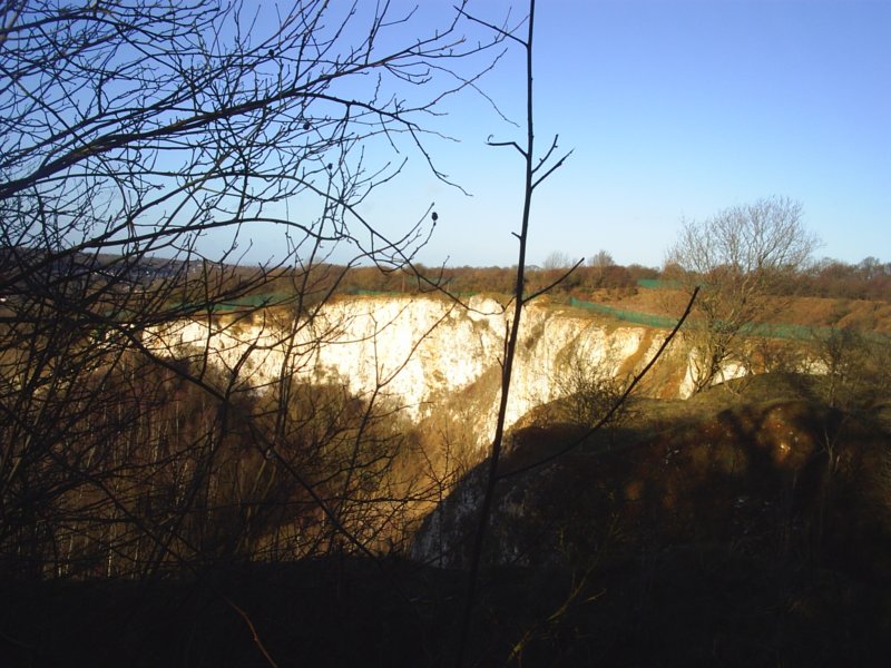 S3010099 s3010099.jpg