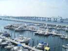 miamionday1010_small.jpg