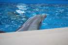 seaworldday13002_small.jpg