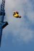 seaworldday13019_small.jpg