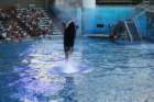 seaworldday13048_small.jpg