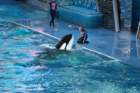 seaworldday13056_small.jpg