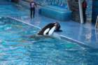 seaworldday13057_small.jpg