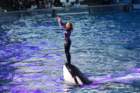 seaworldday13081_small.jpg