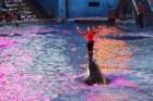 seaworldday13083_small.jpg