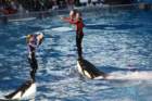 seaworldday13086_small.jpg